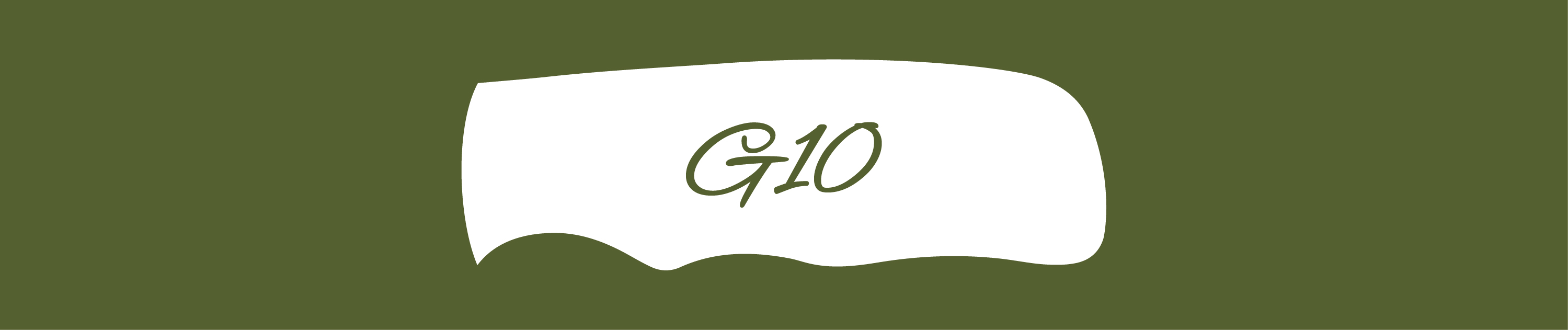 G10