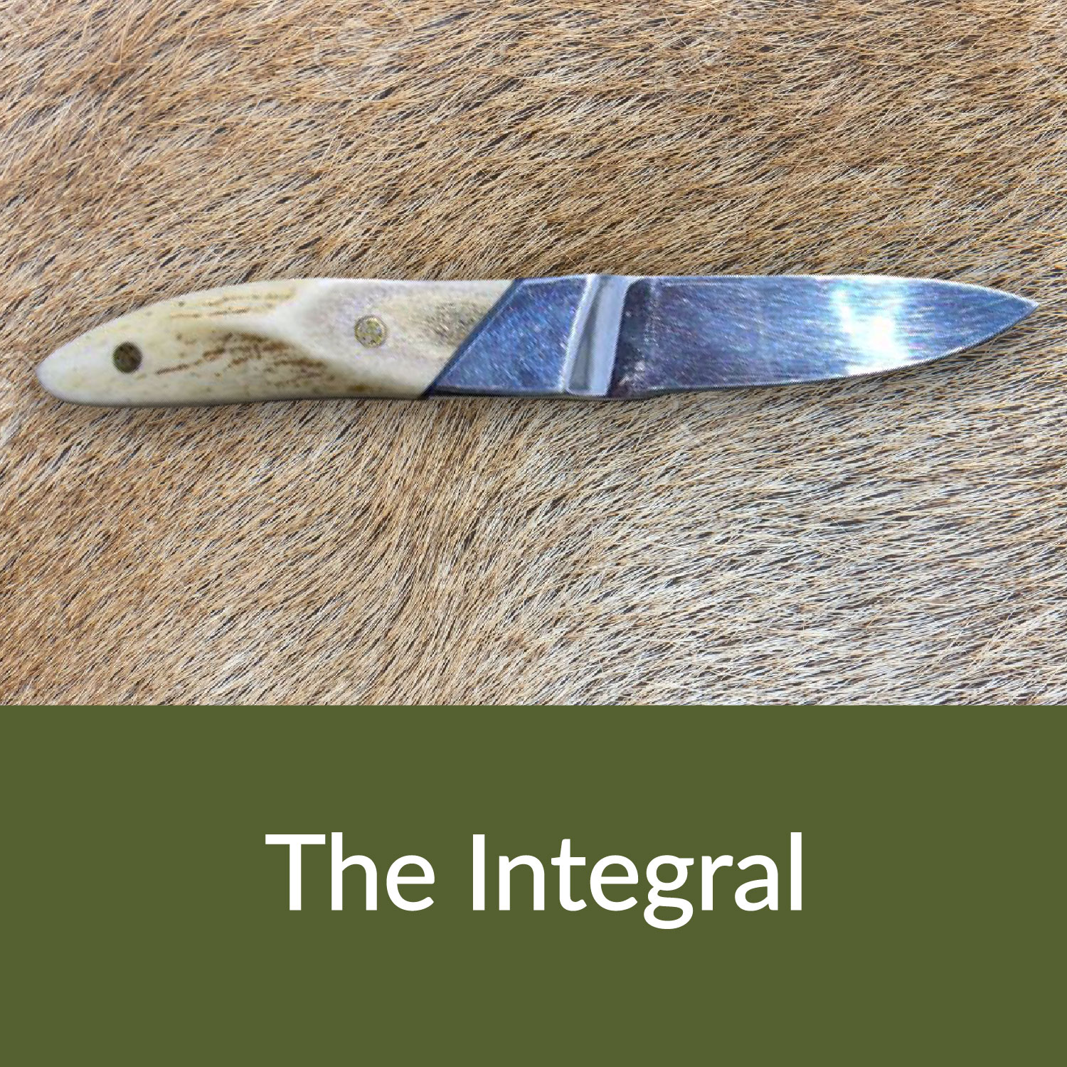 The Integral