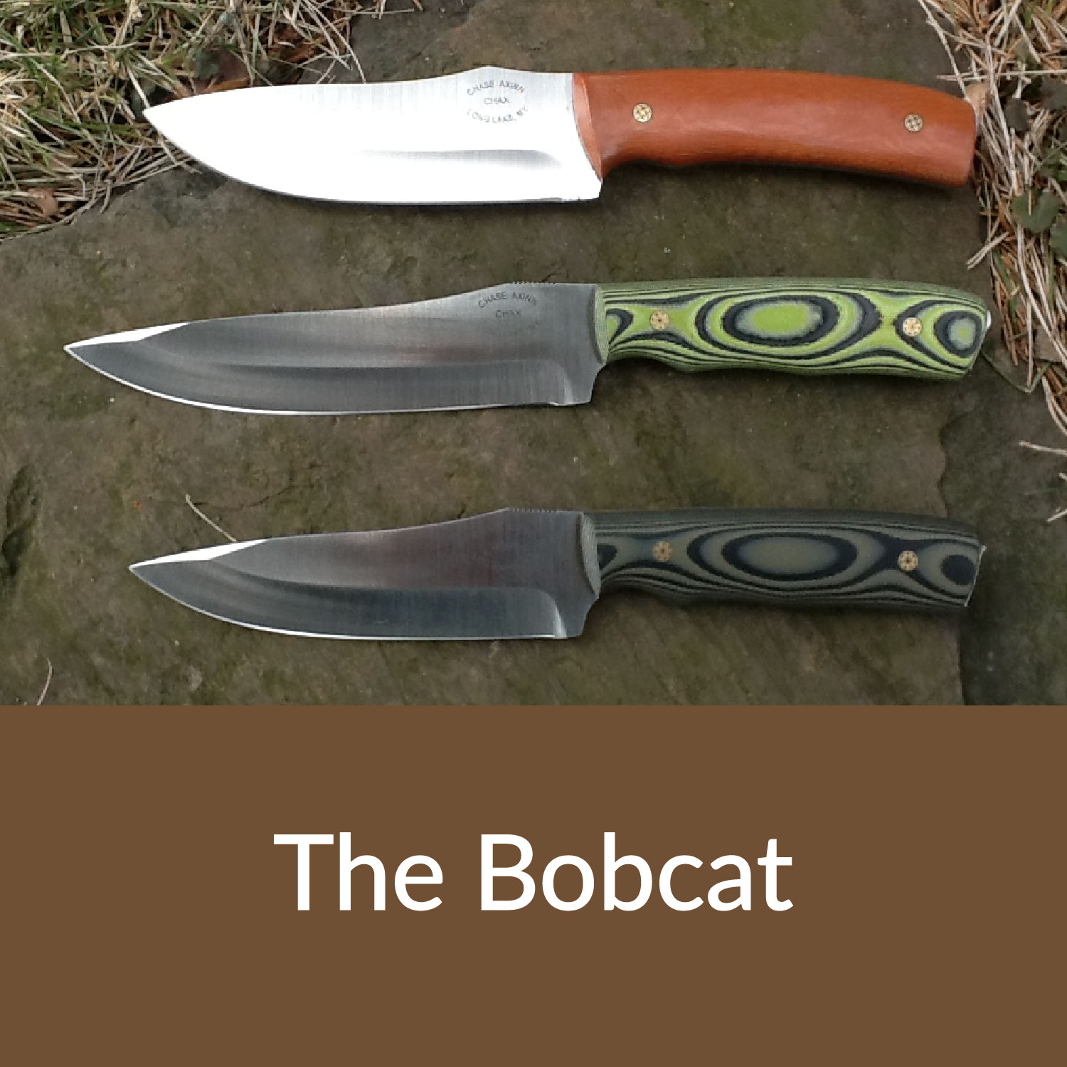 The Bobcat