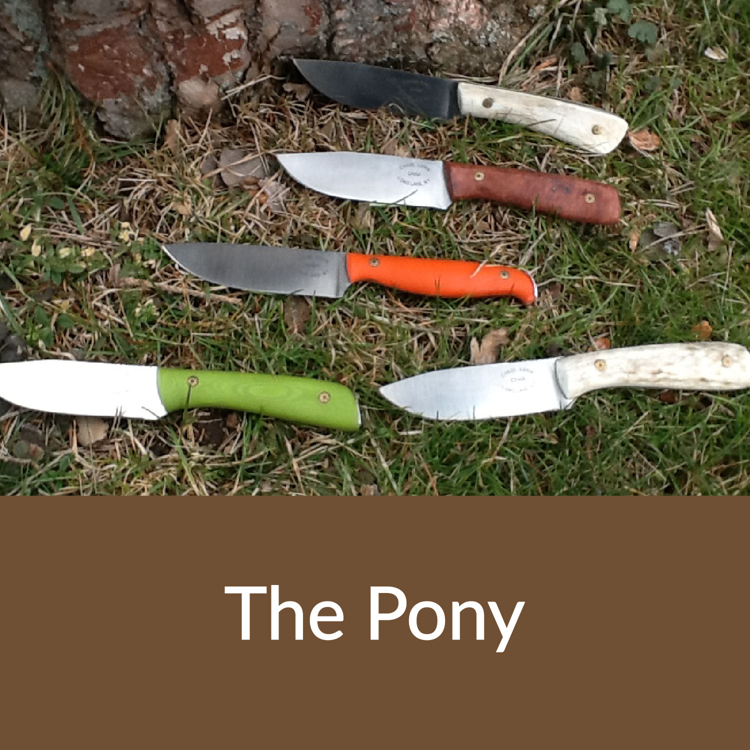 The Pony